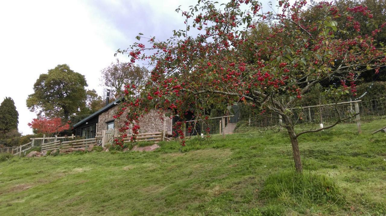 Top Barn Wales Монмут Экстерьер фото